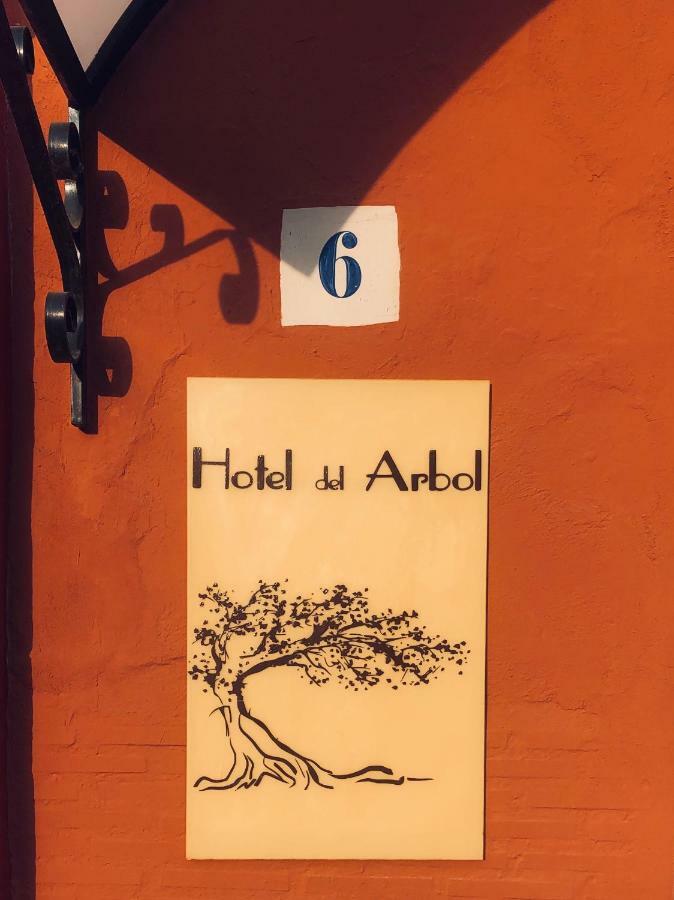 Hotel Del Arbol Xàtiva Exteriör bild